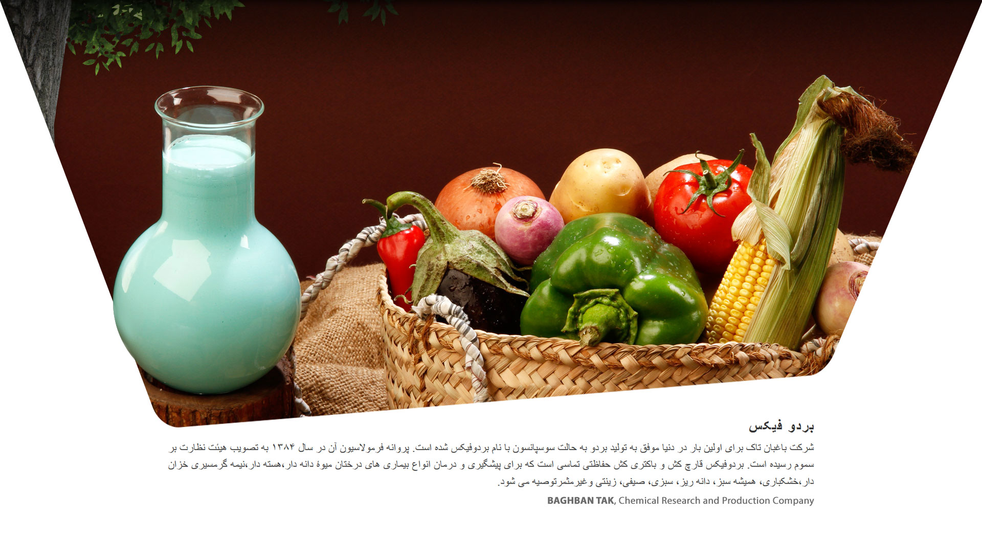 Fullscreen Slideshow